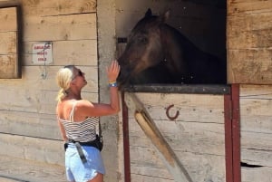 SPLIT: wycieczka panoramiczna po Podstranie na pojeździe ATV i konie