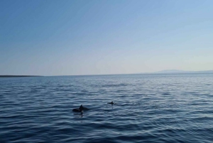 Rab: tour in barca a Zavratnica, Goli Otok e Sveti Grgur