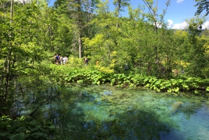 Rastoke & Plitvice Lakes National Park Tour from Zagreb