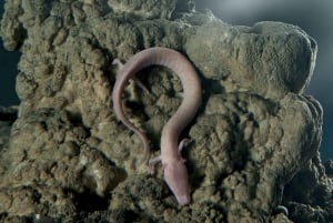 リエカ：ポストイナ洞窟とプレジャマ城