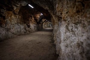 Rijeka: Rijekan tunneli (TunelRi) sisäänpääsylipun hinta