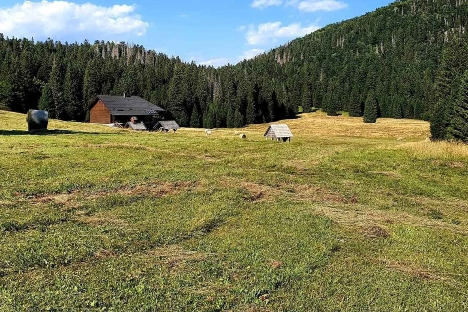 Risnjak nasjonalpark: privat fottur eller løype