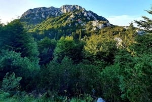 Risnjak nasjonalpark: privat fottur eller løype