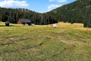 Risnjak nasjonalpark: privat fottur eller løype