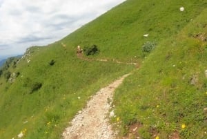 Risnjak nasjonalpark: privat fottur eller løype