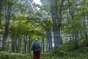 Risnjak nasjonalpark: privat fottur eller løype