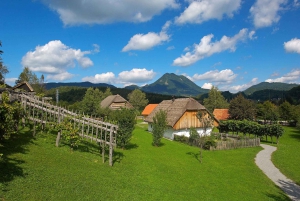 Rogaška Slatina-Hum: E-Bike Tour with Castles & Snacks