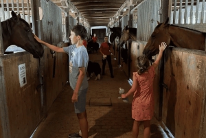 Rogaška Slatina-Hum: E-Bike Tour with Castles & Snacks