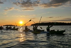 Rovinj – niesamowita wycieczka kajakowa, nurkowanie z rurką, darmowy napój i zdjęcia