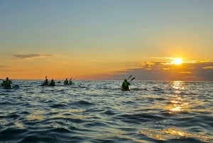 Rovinj – niesamowita wycieczka kajakowa, nurkowanie z rurką, darmowy napój i zdjęcia