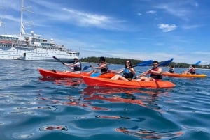 Ровинь: BUBA-KAYAK TOURS, сноркелинг, прыжки с утеса и напитки