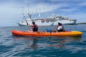 Ровинь: BUBA-KAYAK TOURS, сноркелинг, прыжки с утеса и напитки