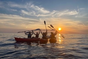 Ровинь: BUBA-KAYAK TOURS, сноркелинг, прыжки с утеса и напитки