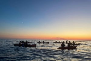 Ровинь: BUBA-KAYAK TOURS, сноркелинг, прыжки с утеса и напитки