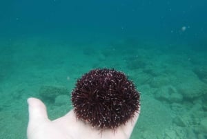 Ровинь: BUBA-KAYAK TOURS, сноркелинг, прыжки с утеса и напитки