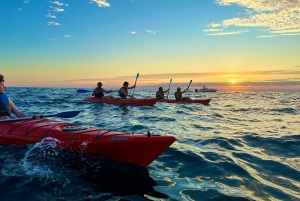 Rovinj: BUBA KAYAK TOURS: snorkelen, springen, gratis drankjes en foto's
