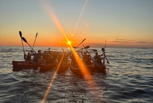 Rovinj: BUBA KAYAK TOURS: snorkelen, springen, gratis drankjes en foto's