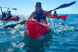 Rovinj: BUBA KAYAK TOURS: snorkelen, springen, gratis drankjes en foto's