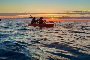 Rovinj: BUBA KAYAK TOURS: snorkelen, springen, gratis drankjes en foto's