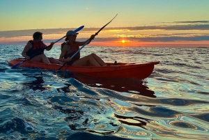 Rovinj: BUBA KAYAK TOURS: snorkelen, springen, gratis drankjes en foto's