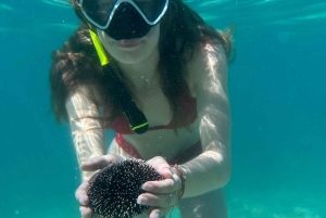 Rovinj: BUBA KAYAK TOURS: snorkelen, springen, gratis drankjes en foto's