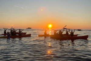 Rovinj: BUBA KAYAK TOURS: snorkelen, springen, gratis drankjes en foto's