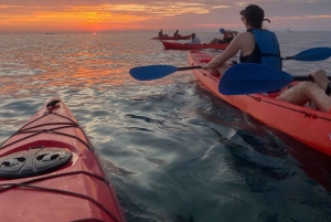 Rovinj: BUBA KAYAK TOURS: snorkelen, springen, gratis drankjes en foto's