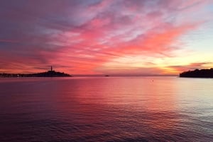 Rovinj: Speedbåttur med delfinkikking i solnedgangen og drikke