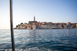 Rovinj: Speedbåttur med delfinkikking i solnedgangen og drikke