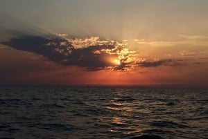 Rovinj: Speedbåttur med delfinkikking i solnedgangen og drikke