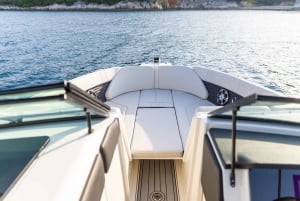 Rovinj: Speedbåttur med delfinkikking i solnedgangen og drikke