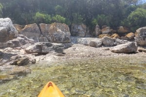 Rovinj Golden Cape autiosaarten kajakki&snorkkelikierros
