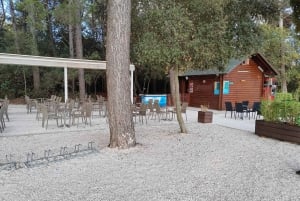 Rovinj: Excursión en kayak y snorkel por las Islas Desiertas del Cabo Dorado