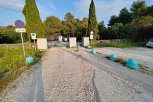 Rovinj: Excursión en kayak y snorkel por las Islas Desiertas del Cabo Dorado