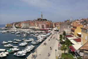 Rovinj: Guided Walking Tour