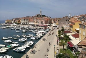 Rovinj: Wandeltour met gids