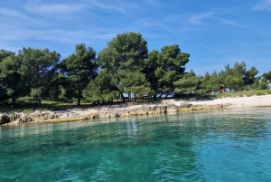 Rovinj-Inseln: 3-stündige Tour mit Schwimmen und Schnorcheln