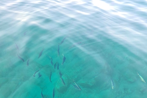 Rovinj-Inseln: 3-stündige Tour mit Schwimmen und Schnorcheln