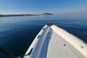 Rovinj-Inseln: 3-stündige Tour mit Schwimmen und Schnorcheln