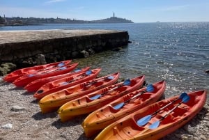 Ровинь: BUBA-KAYAK TOURS, сноркелинг, прыжки с утеса и напитки