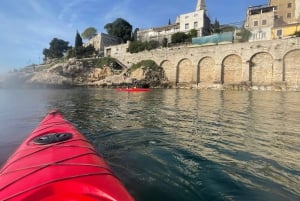 Ровинь: BUBA-KAYAK TOURS, сноркелинг, прыжки с утеса и напитки