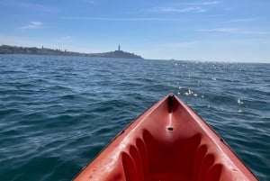 Ровинь: BUBA-KAYAK TOURS, сноркелинг, прыжки с утеса и напитки