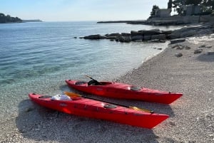 Ровинь: BUBA-KAYAK TOURS, сноркелинг, прыжки с утеса и напитки