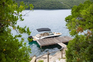 ロヴィニ：リムフィヨルドとロヴィニ諸島のスピードボートツアーをお楽しみください