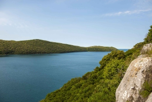 ロヴィニ：リムフィヨルドとロヴィニ諸島のスピードボートツアーをお楽しみください