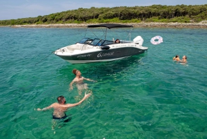 ロヴィニ：リムフィヨルドとロヴィニ諸島のスピードボートツアーをお楽しみください