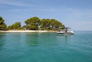 ロヴィニ：リムフィヨルドとロヴィニ諸島のスピードボートツアーをお楽しみください