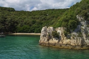 ロヴィニ：リムフィヨルドとロヴィニ諸島のスピードボートツアーをお楽しみください