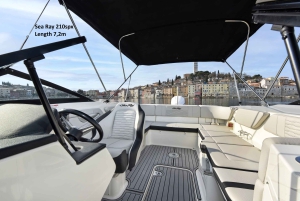 ロヴィニ：リムフィヨルドとロヴィニ諸島のスピードボートツアーをお楽しみください