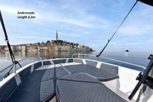 ロヴィニ：リムフィヨルドとロヴィニ諸島のスピードボートツアーをお楽しみください